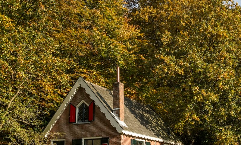 Vakantiewoning Petite Grangette in het Gooi