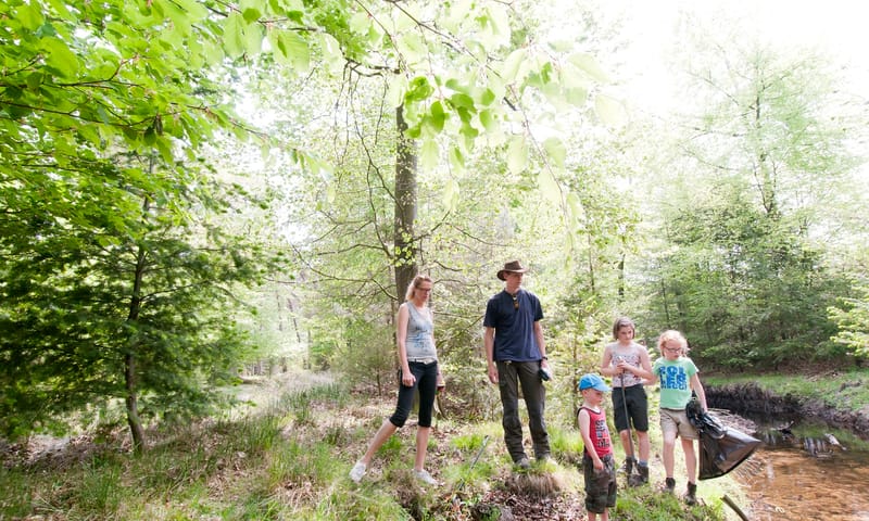 Vakantie in de natuur