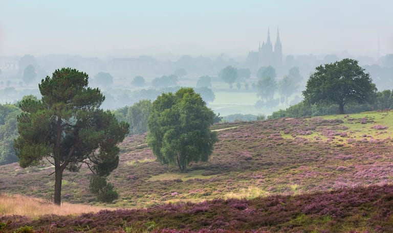 Mookerheide uitzicht