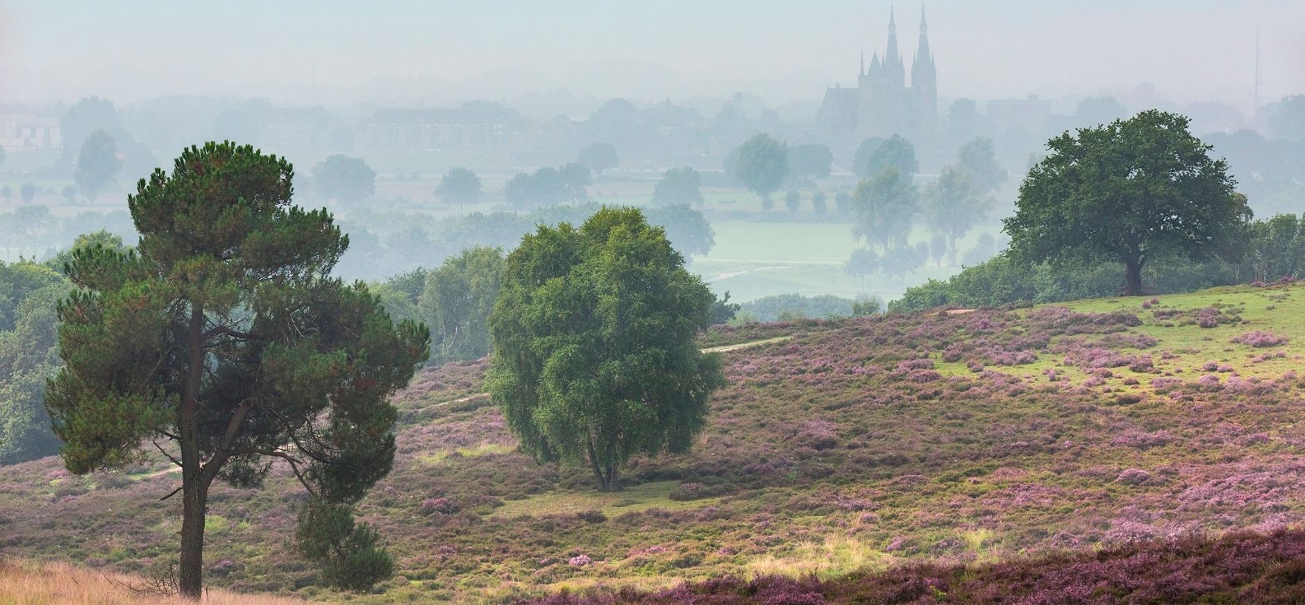 Mookerheide uitzicht