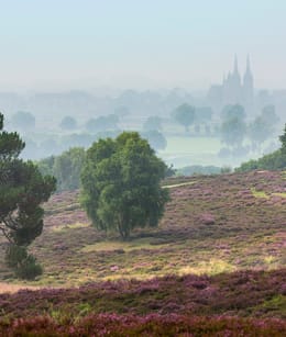 Mookerheide uitzicht