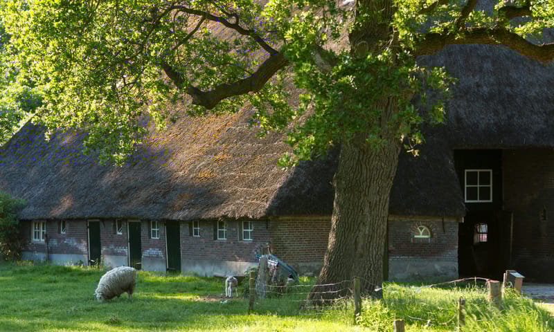 Vakantiewoning Hoeve de Bocksen