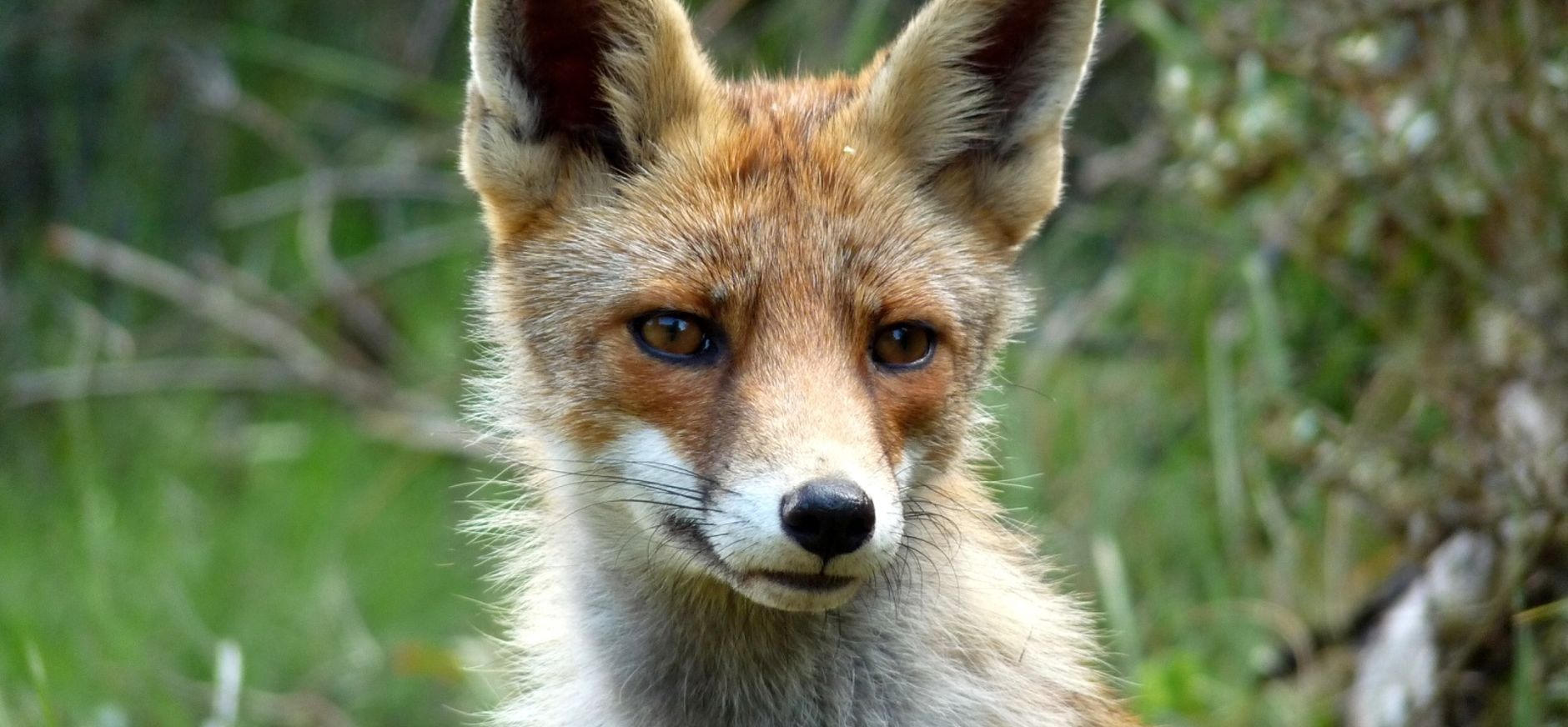 Speurtocht Victor Vos