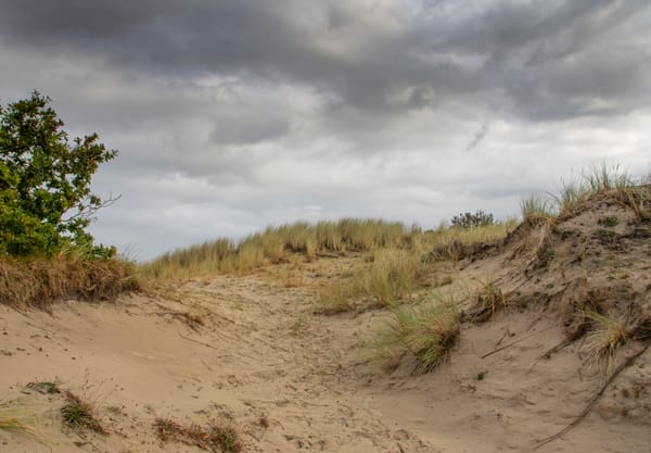 Duinen in het Zwanenwater