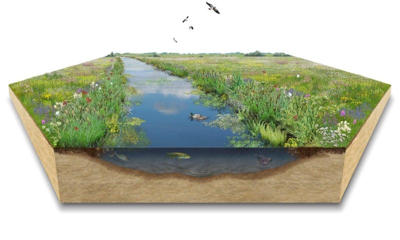 Bloemkampen toekomstbeeld beek