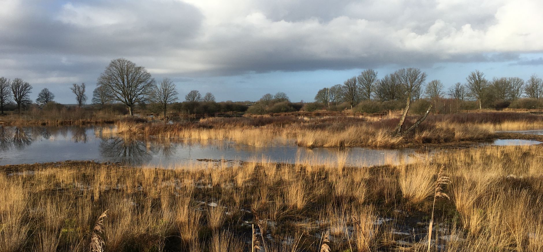 Project Empese en Tondense Heide