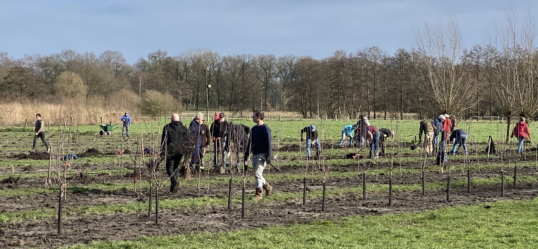 Herenboeren Groote Modderkolk plant boomgaard