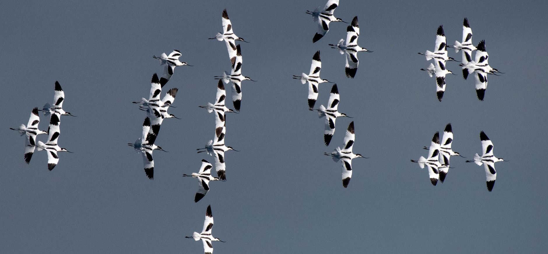 Kluten boven Marker Wadden
