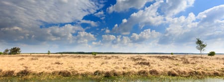 Fochteloërveen