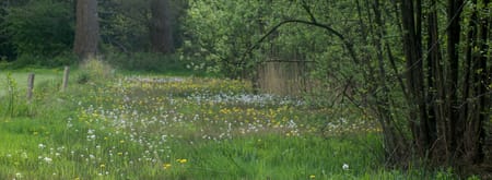 REGIO36680Soerensebeek