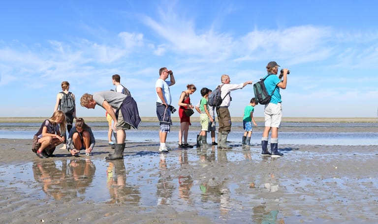 Avontuur op de Schorren - Texel