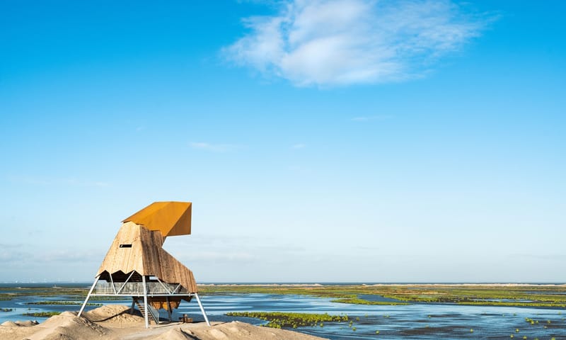 Uitkijktoren Steltloper Marker Wadden