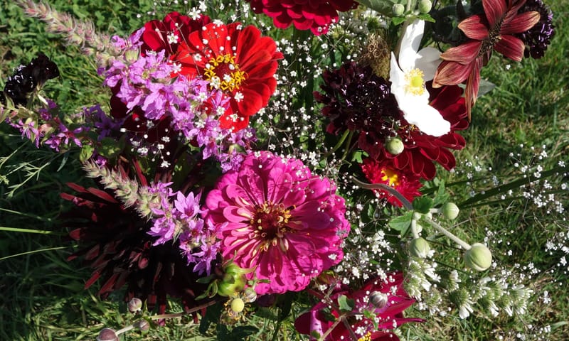 bloemen