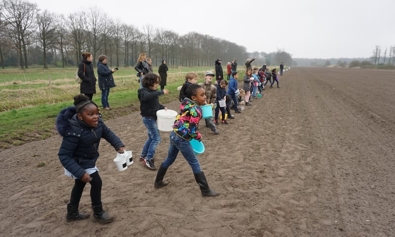 Campagne Wilde Bloemen