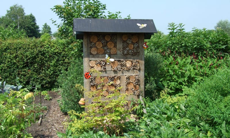 Mega insectenhotel