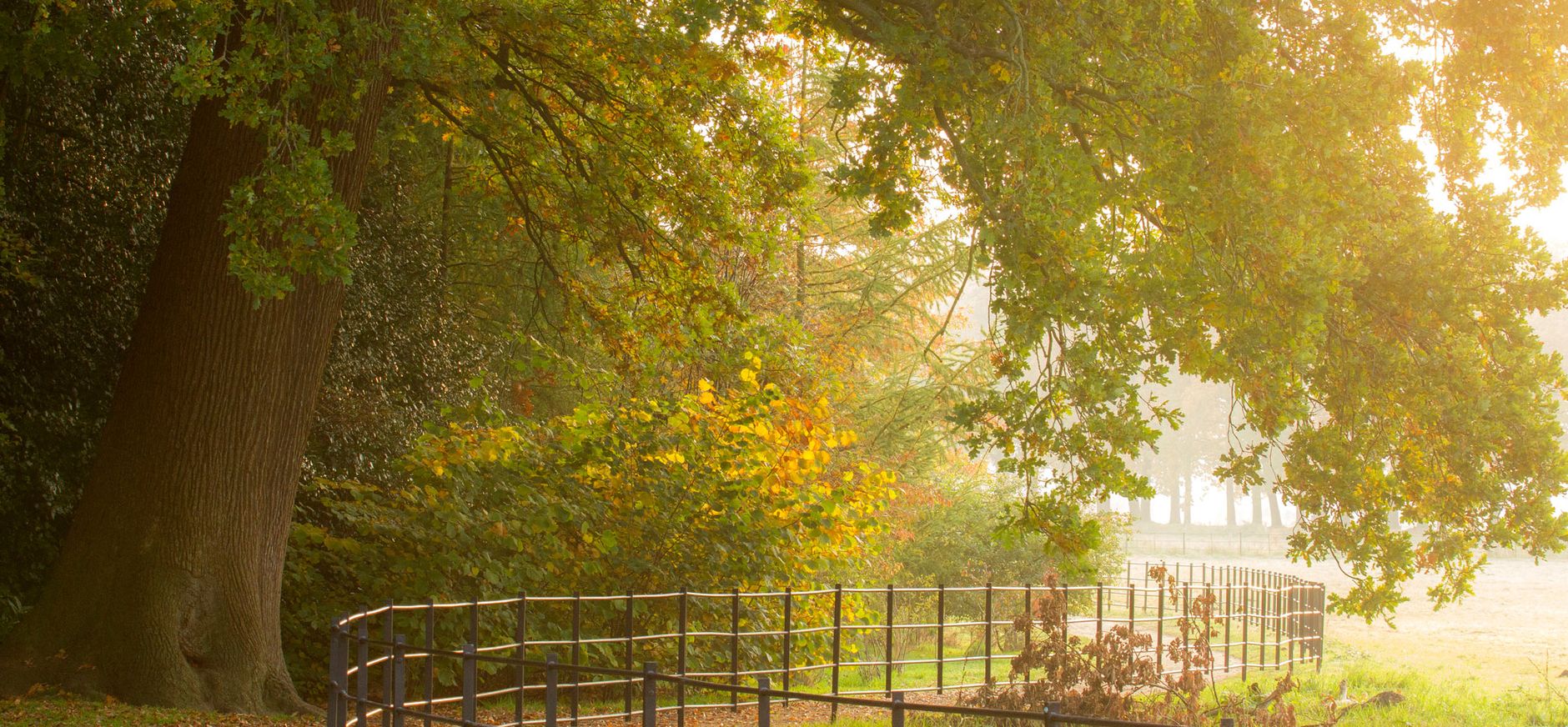 Herfstwandeling