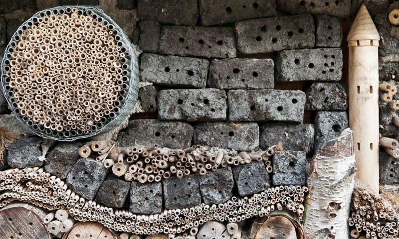 Insectenhotel Nieuwkoop