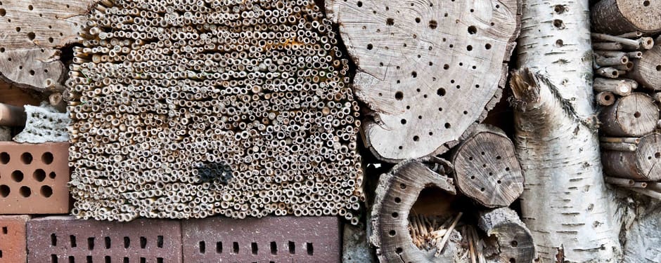 Insectenhotel voor allerlei dieren