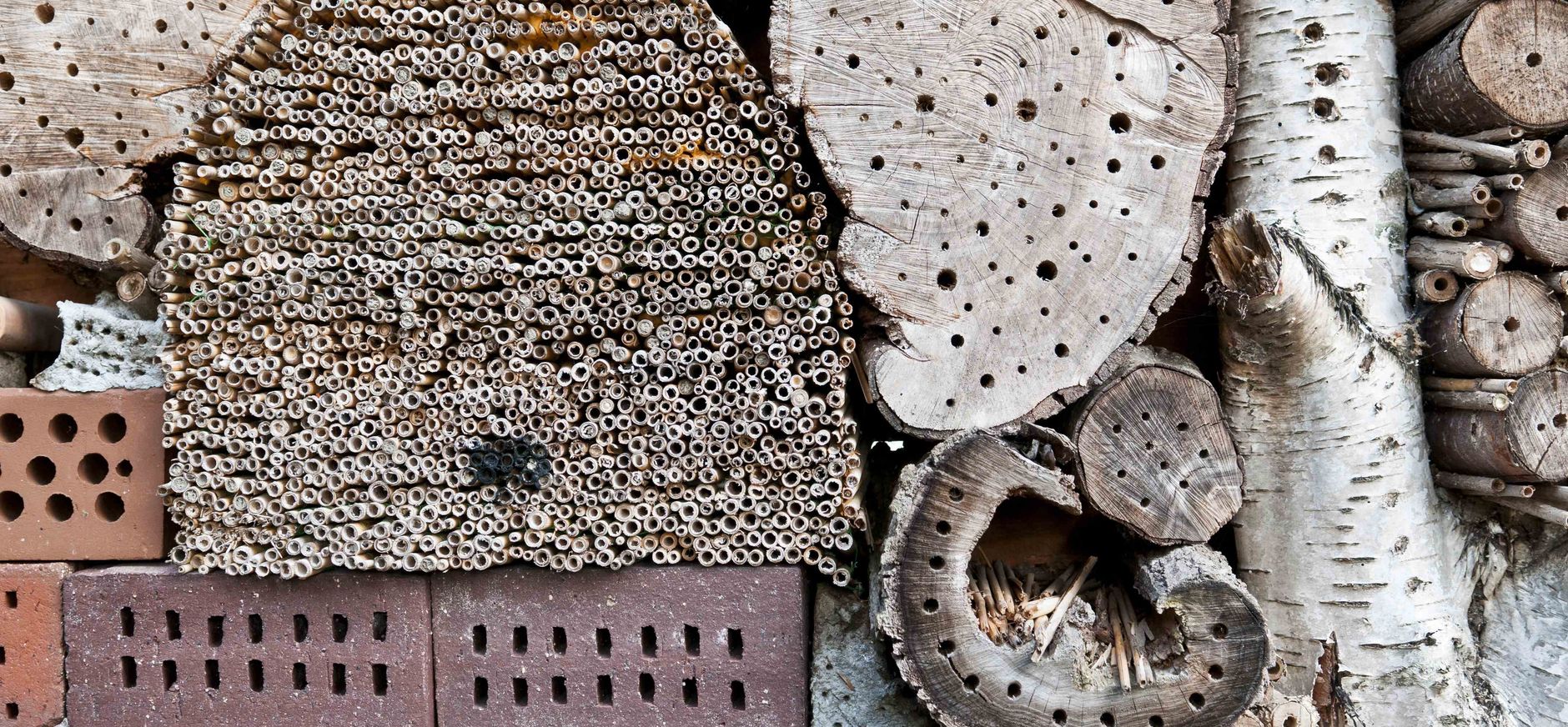 Insectenhotel voor allerlei dieren