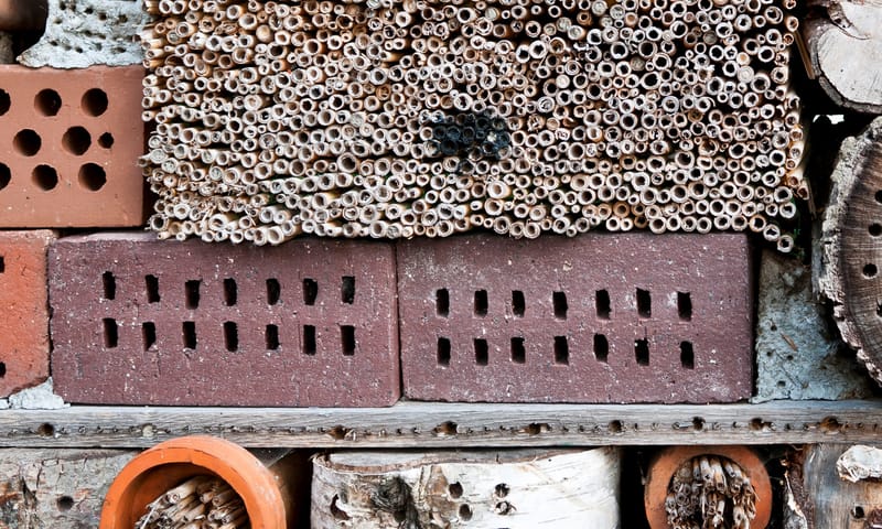 Insectenhotel van steen