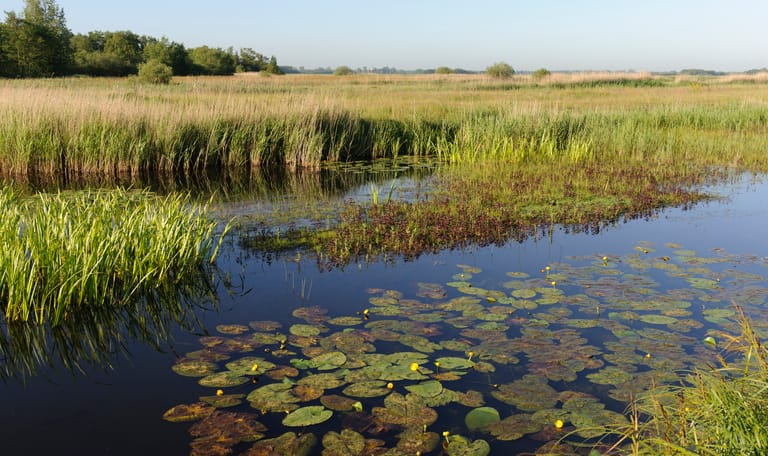 Oostelijke binnenpolder Tienhoven