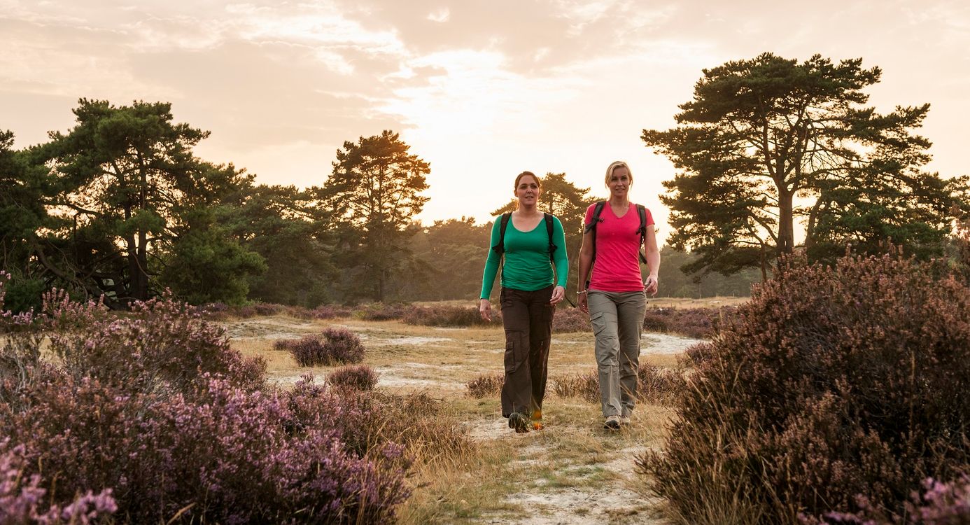 Mookerheide