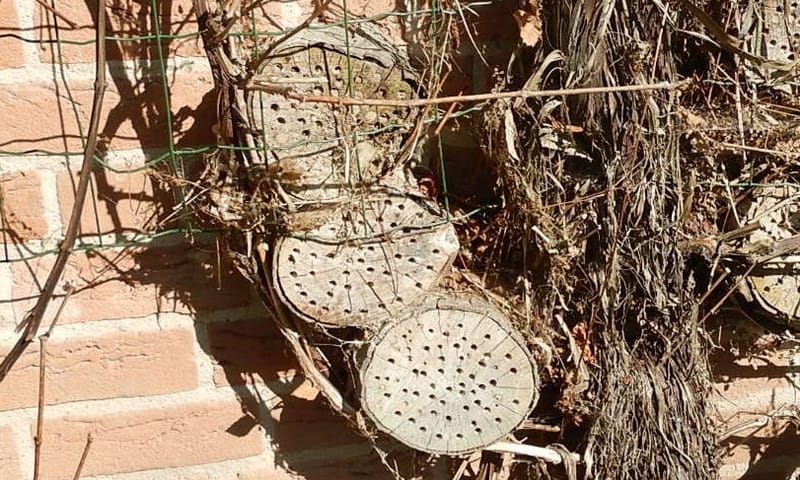 Simpel insectenhotel