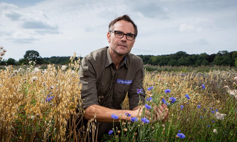 Natuursuccessen