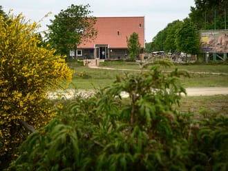 Wakel - Buurserzand