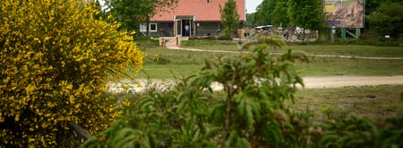 Wakel - Buurserzand