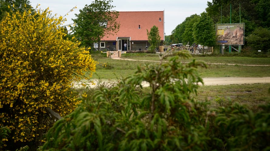 Wakel - Buurserzand