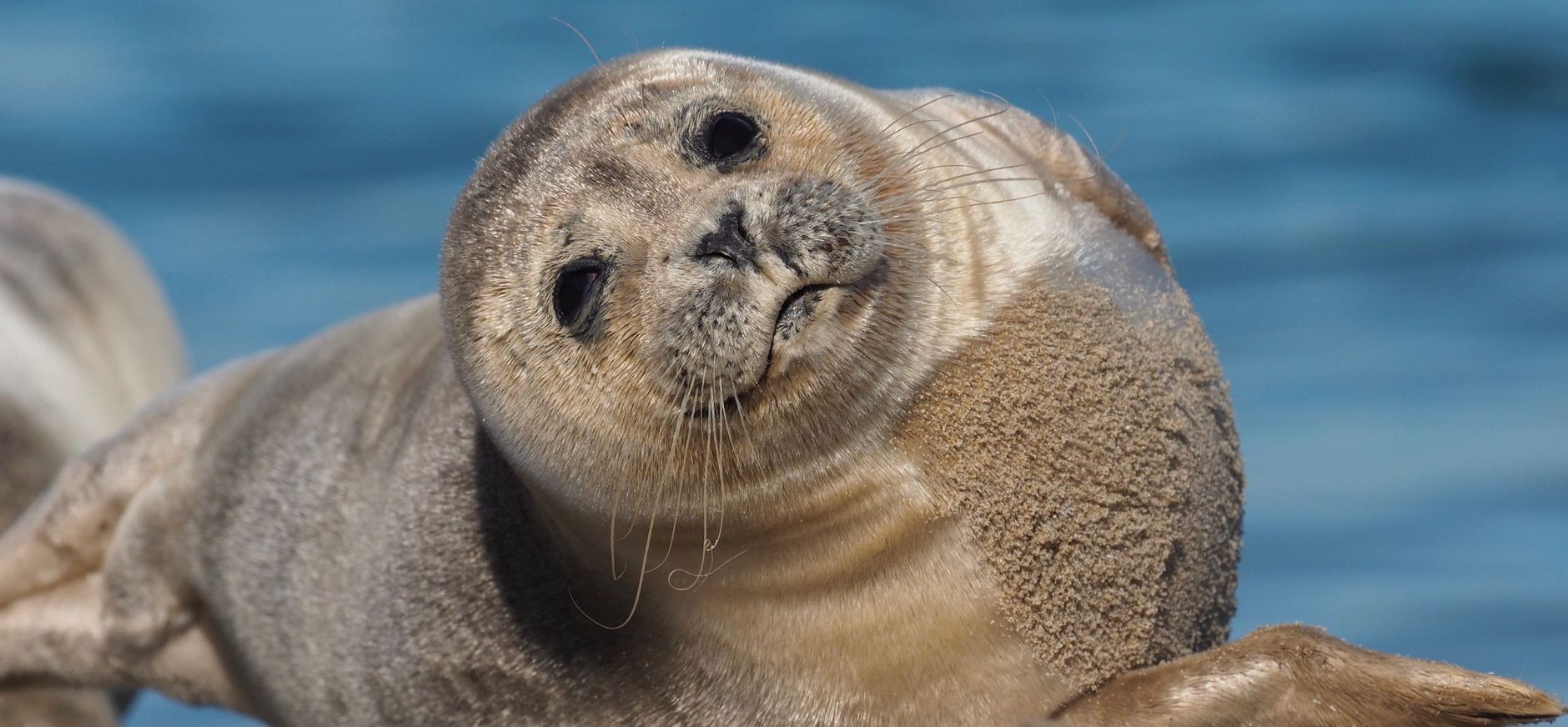 Samen voor de natuur