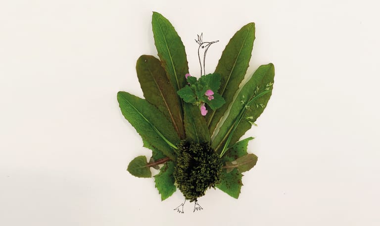 Natuurkunst
