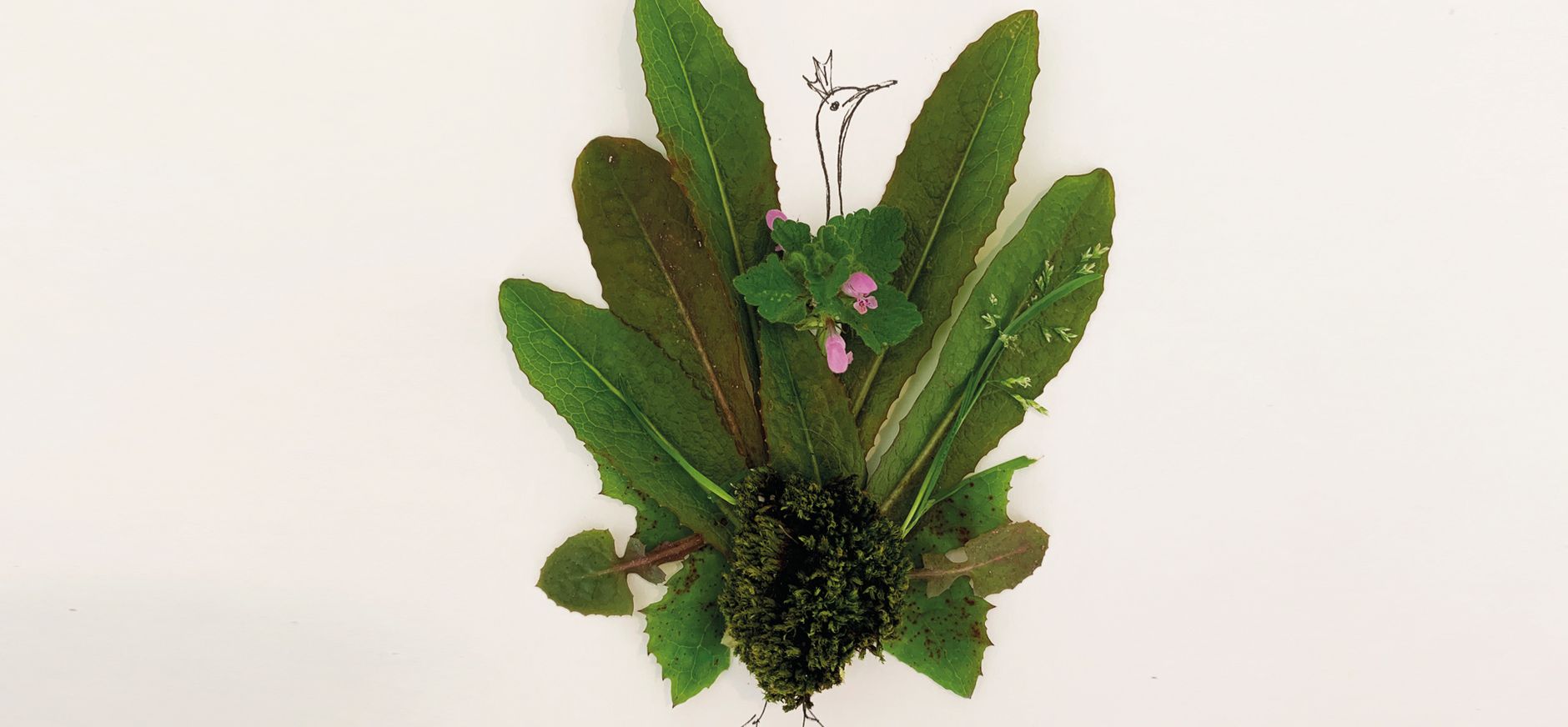 Natuurkunst