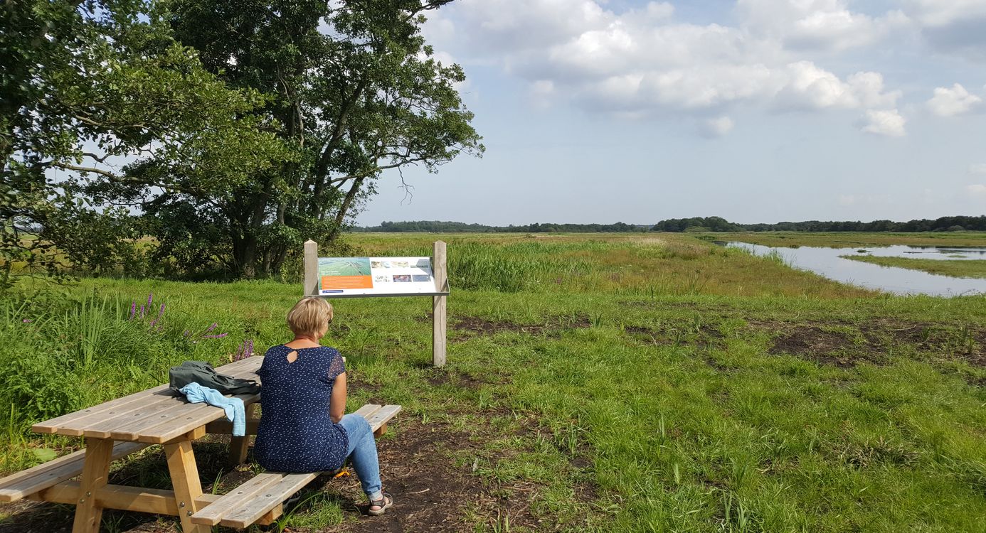 Picknickbank Vredevoetpad