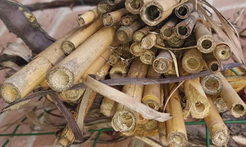 Insectenhotel van bamboe
