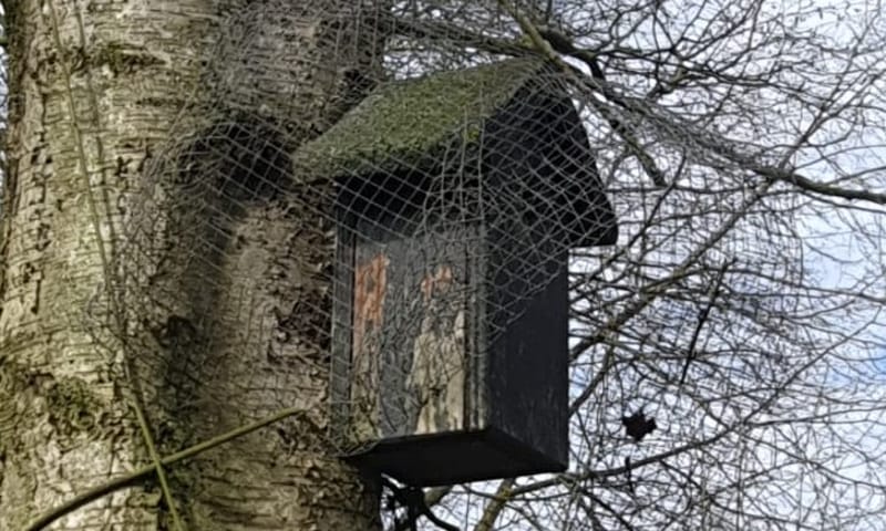 Nestkastje met gaas eromheen