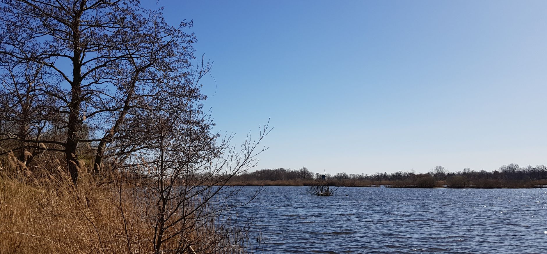 Tienhovense plassen
