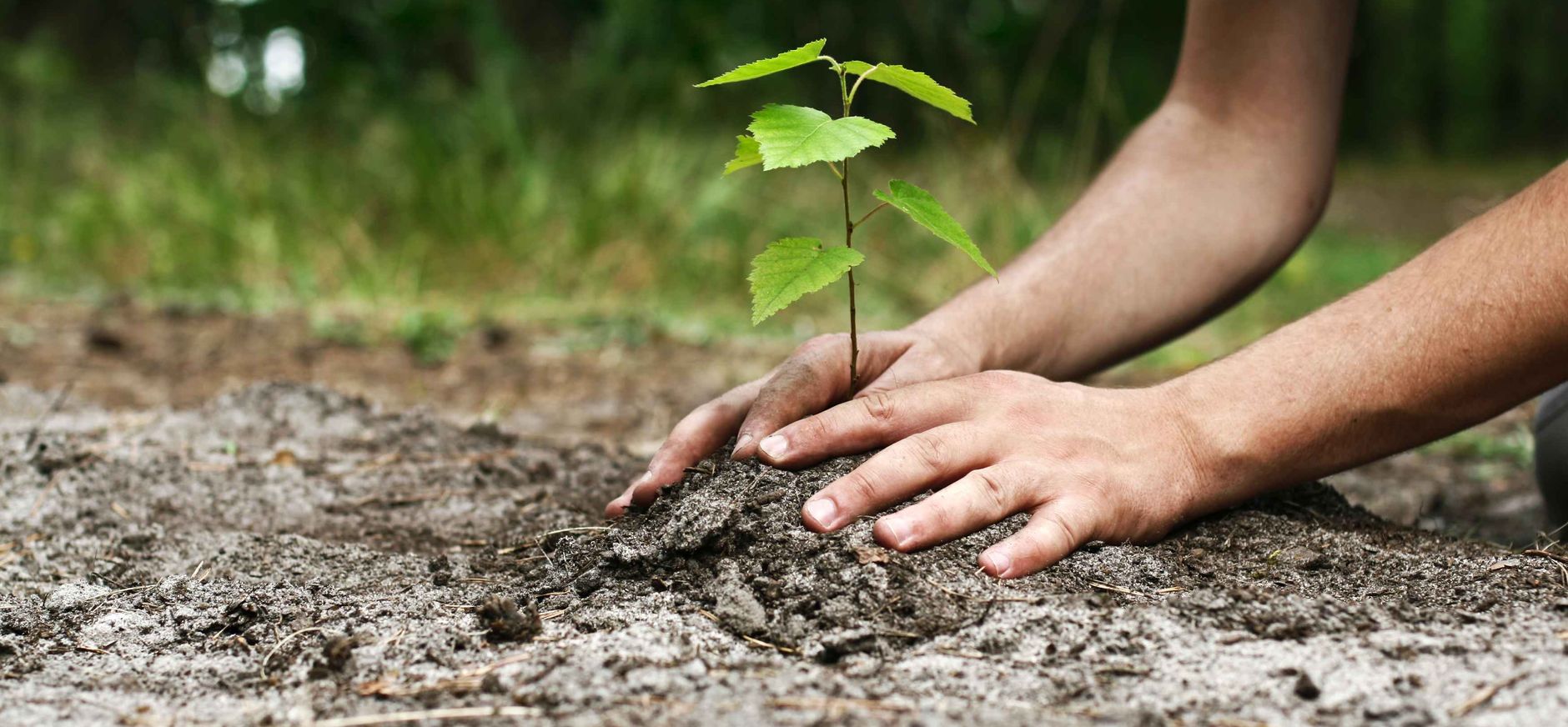 Ga voor groei landingspagina
