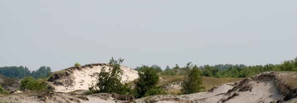 Stuivende duinen