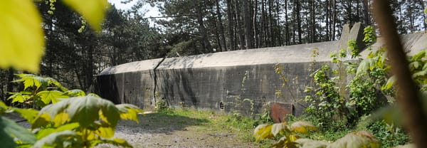 Walvisbunker (Vleugelbunker)