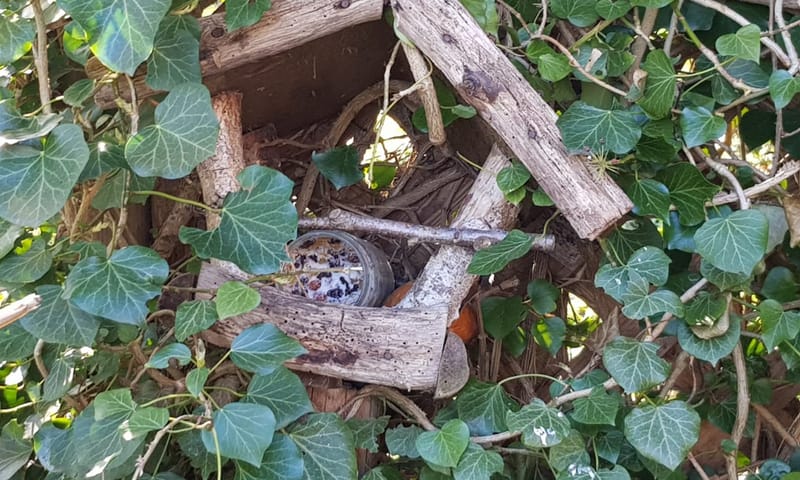 Hang ook wat op in de struiken