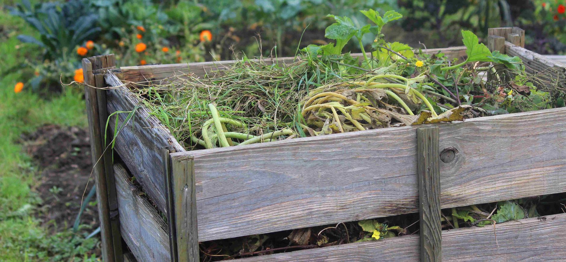Compost maken voor je tuin