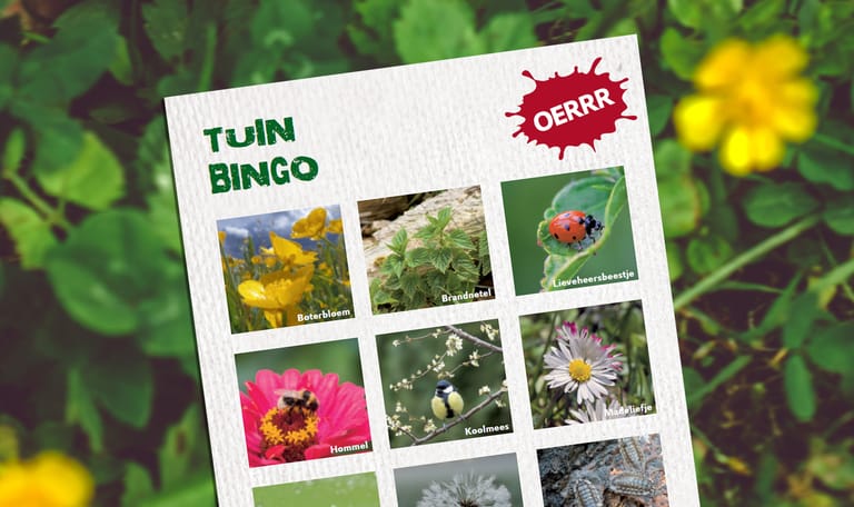 Tuinbingo - OERRR