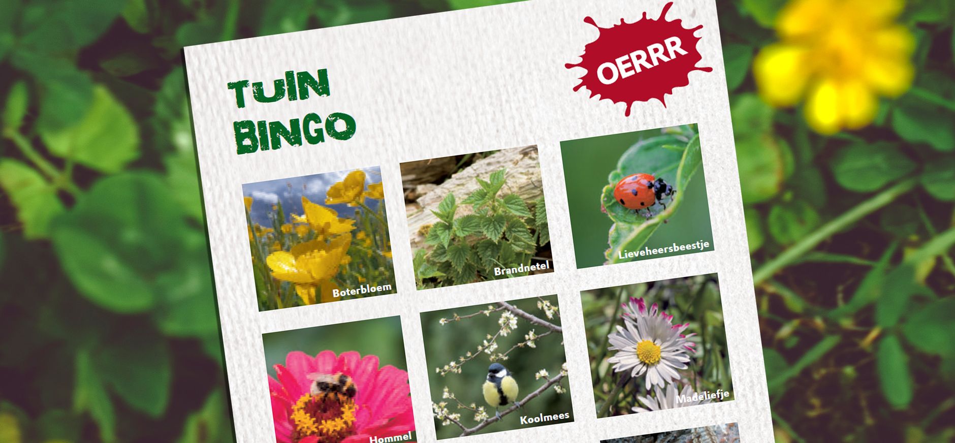 Tuinbingo - OERRR