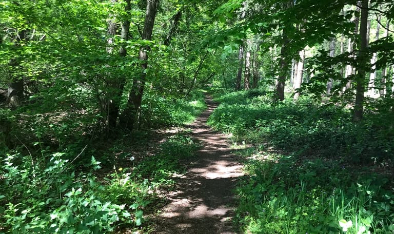 beerninkholt