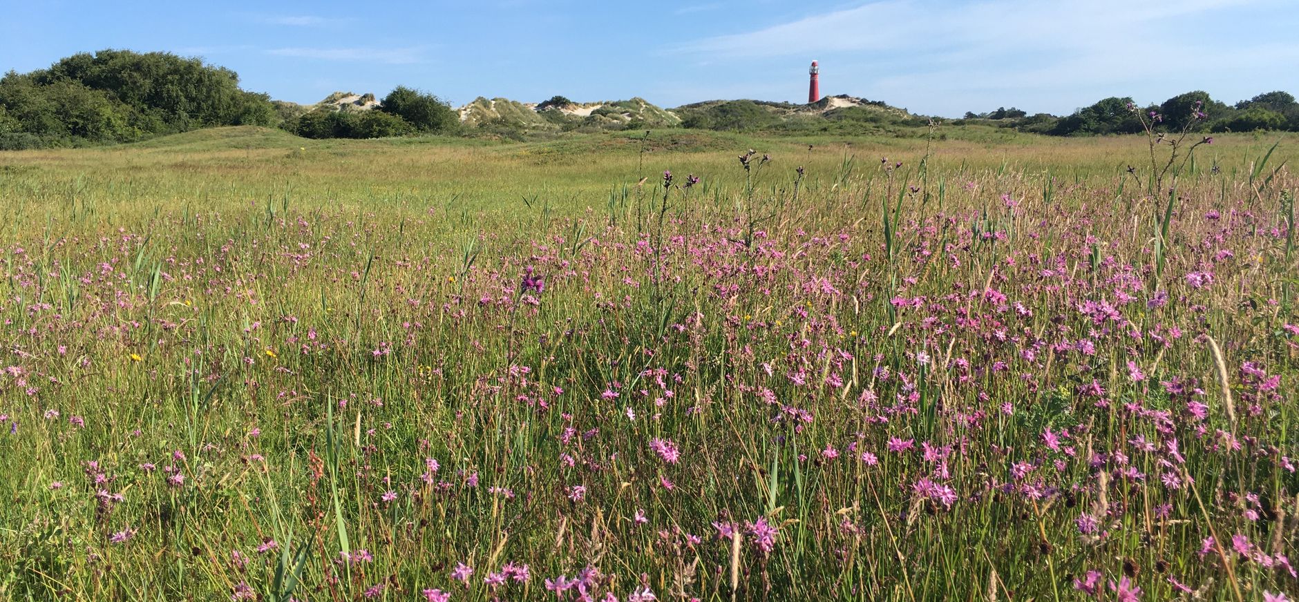 Nationaal Park Schiermonnikoog