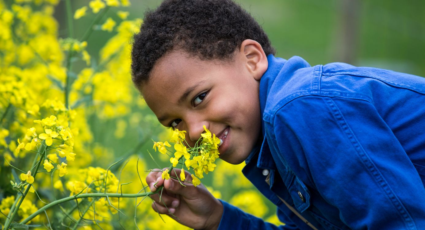 Jongen ruikt aan bloemen Belevenisboerderij Schieveen