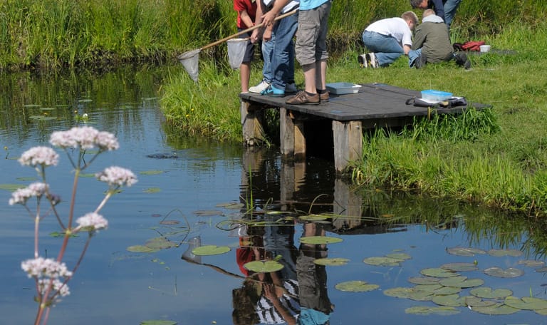 WiedenWaterWereld