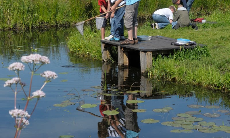 WiedenWaterWereld